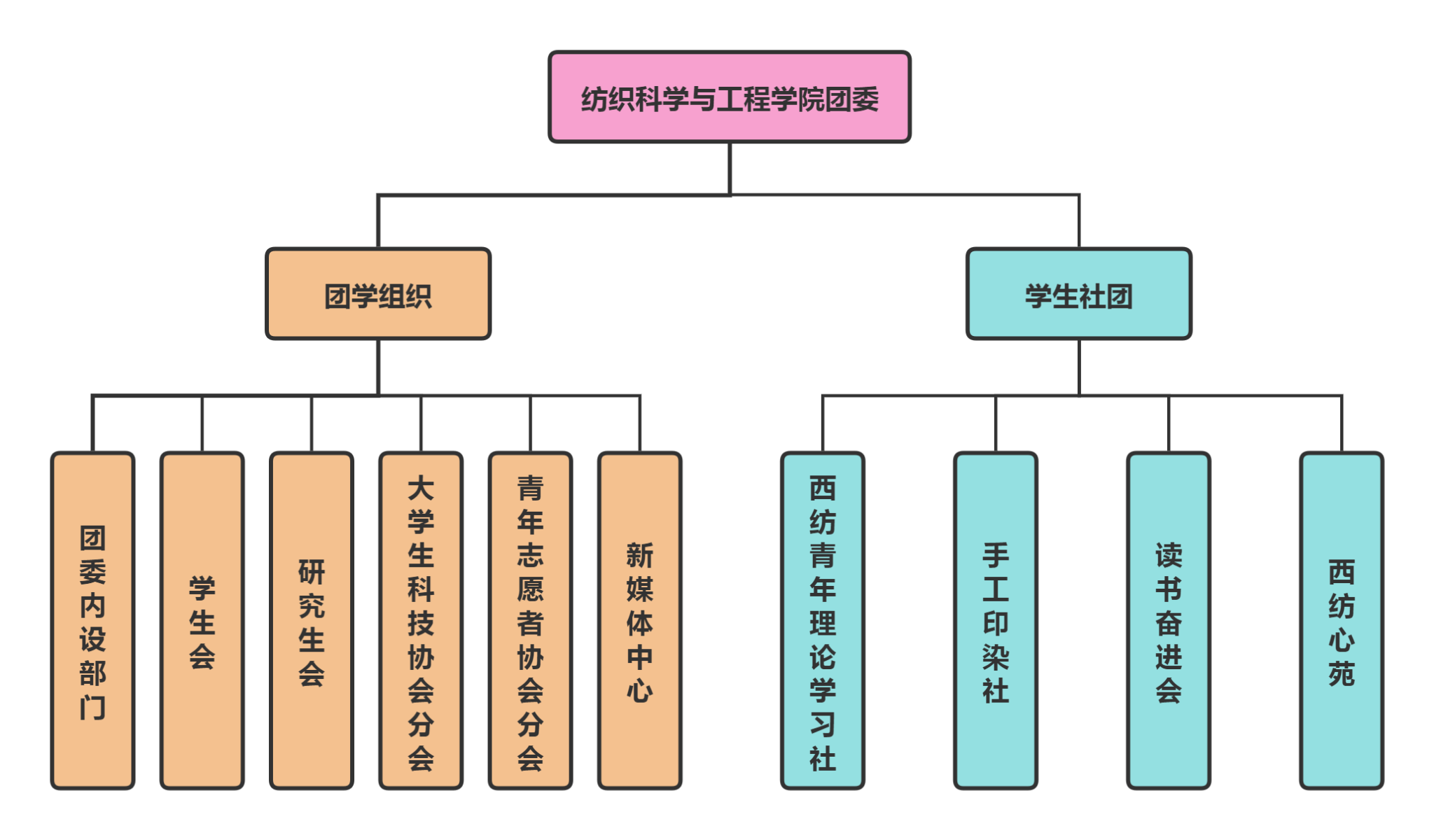 基本情况